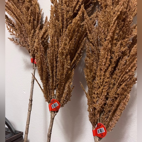 Orange tone pompous grass - Picture 2 of 3